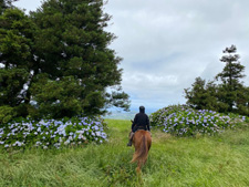 Portugal-Azores-Green Azores Island Rambler